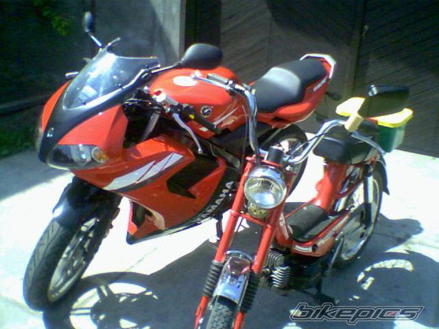 Photo 356598