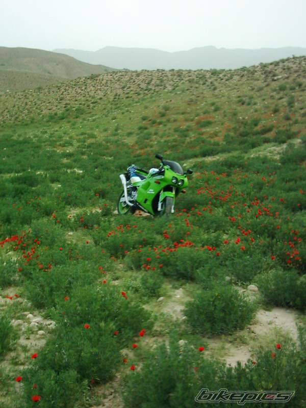 Bike Photo 356609