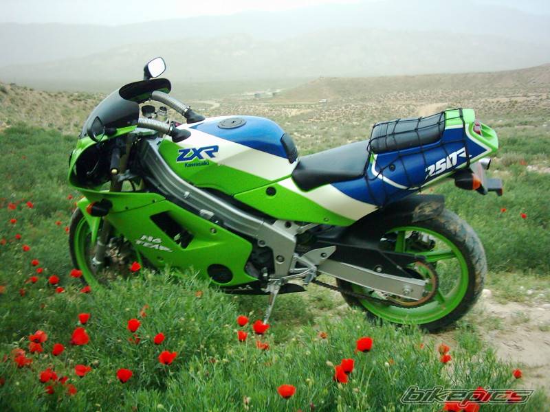 Bike Photo 356639