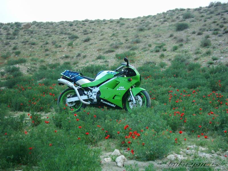 Bike Photo 356645