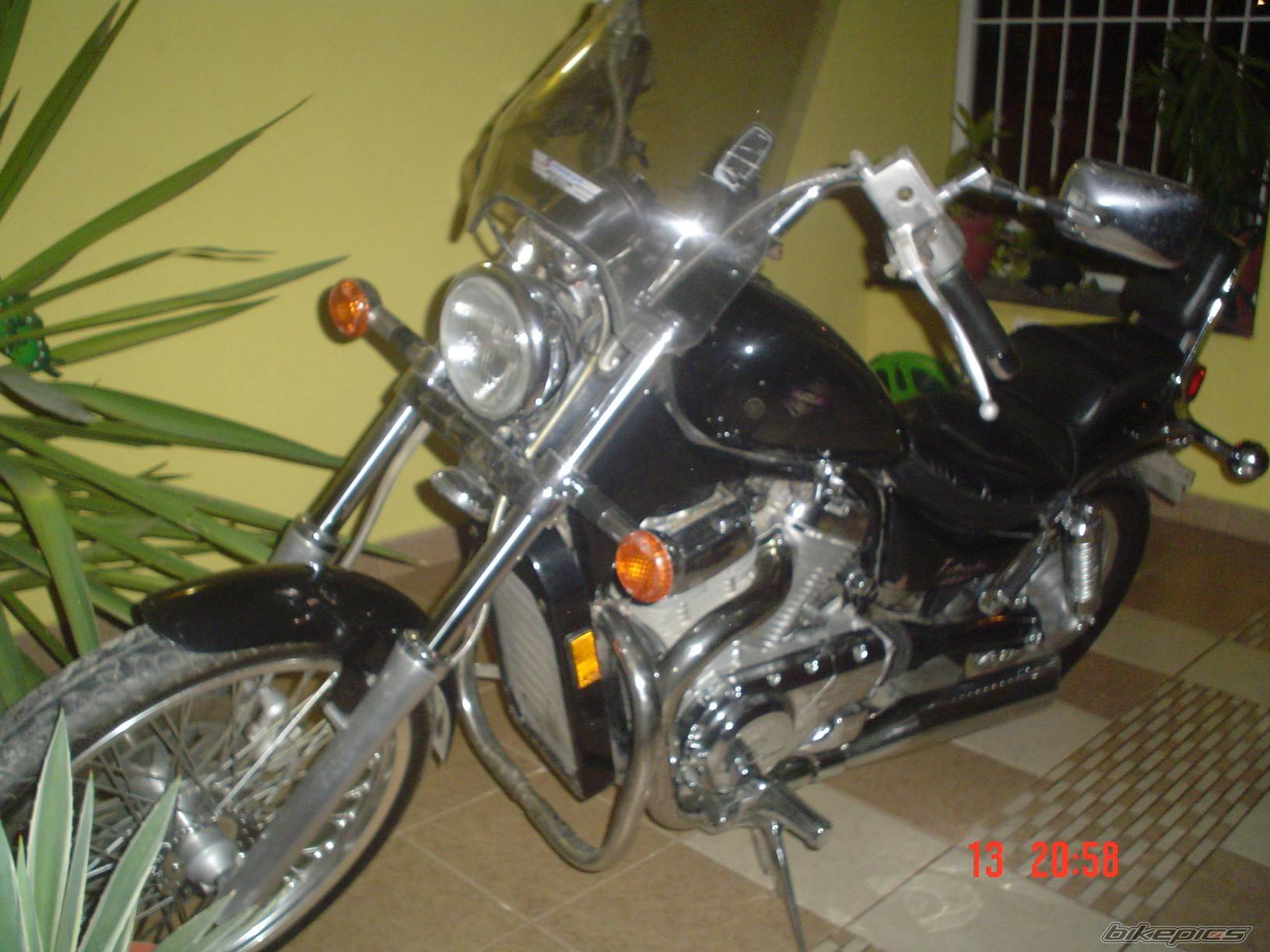 Photo 356646