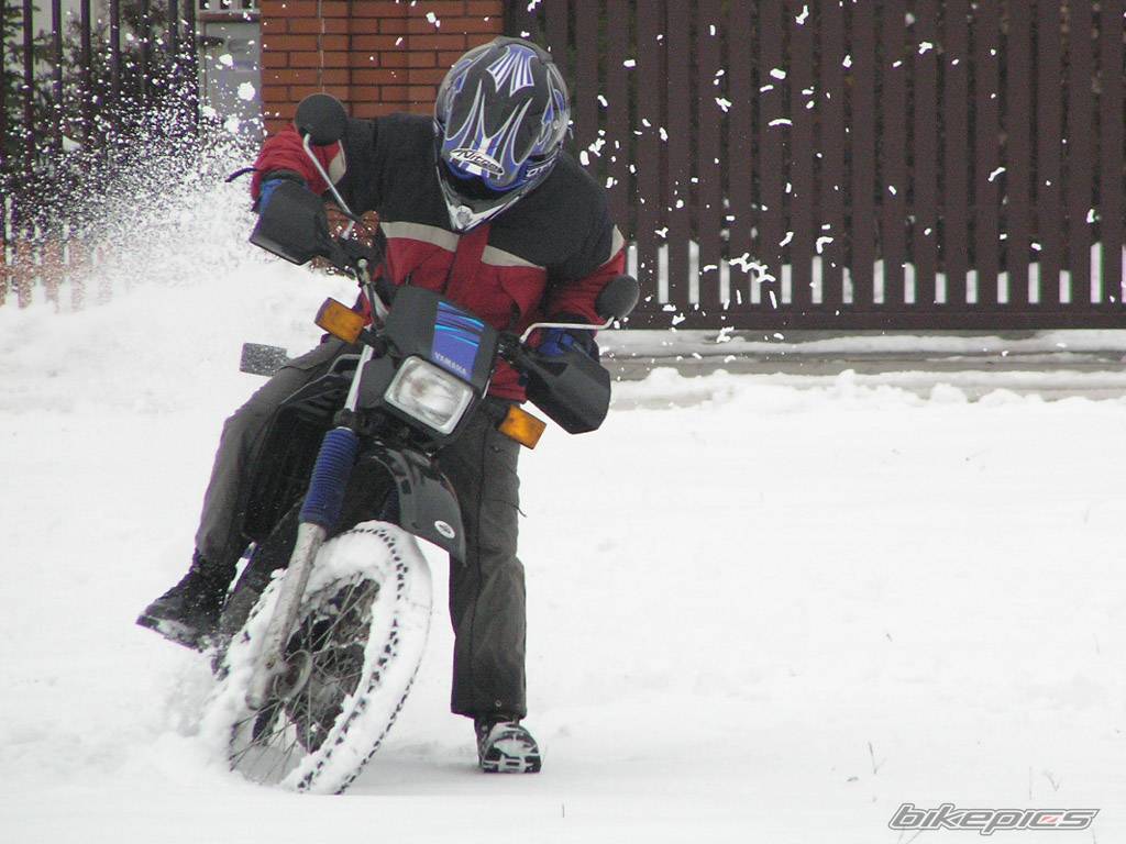 Bike Photo 356653