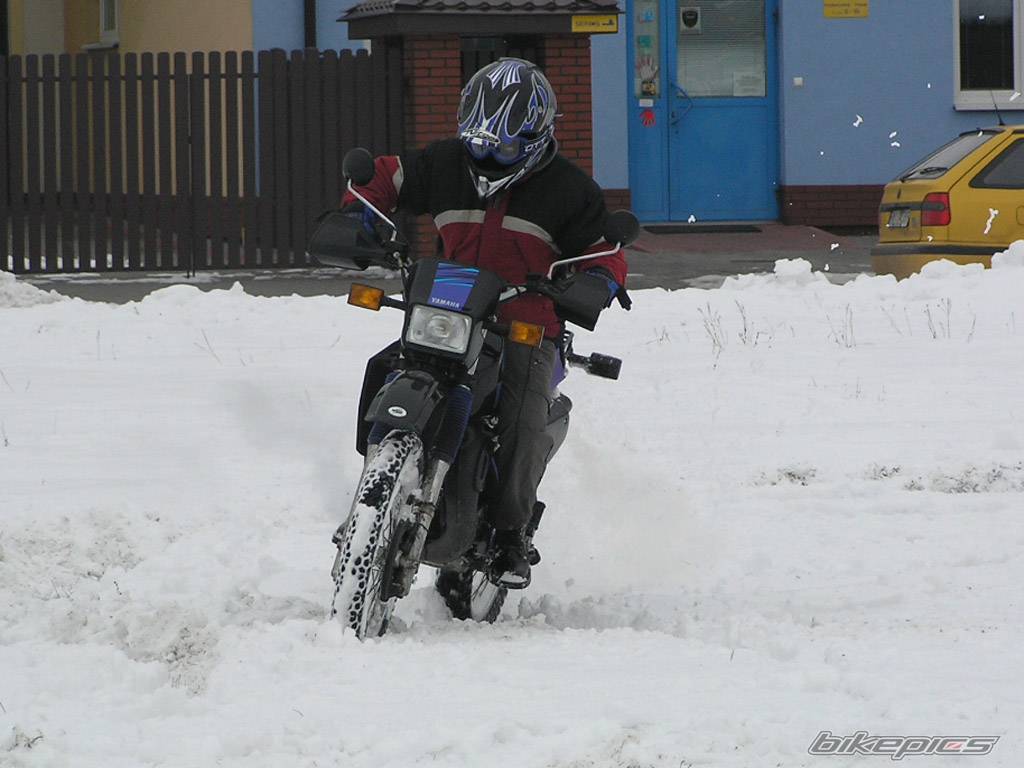 Bike Photo 356655