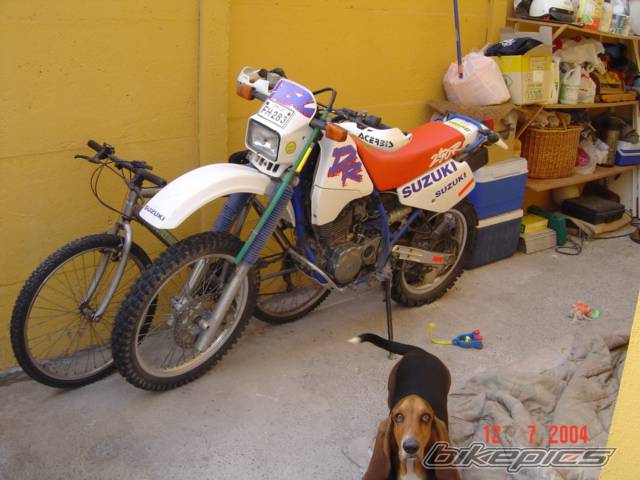 Photo 356666