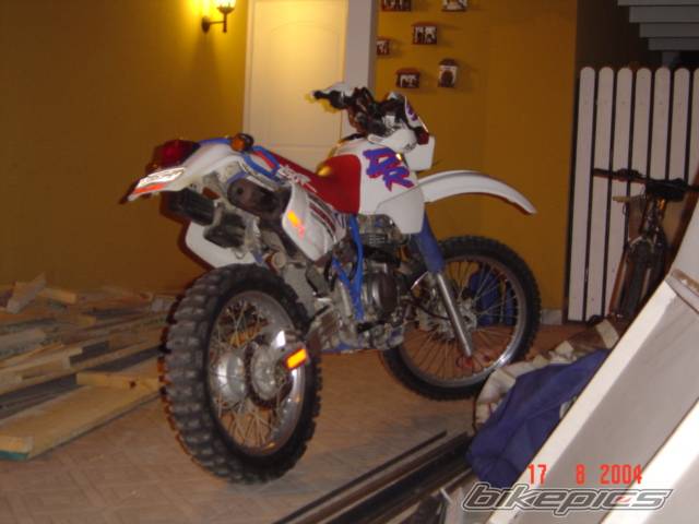 Photo 356667
