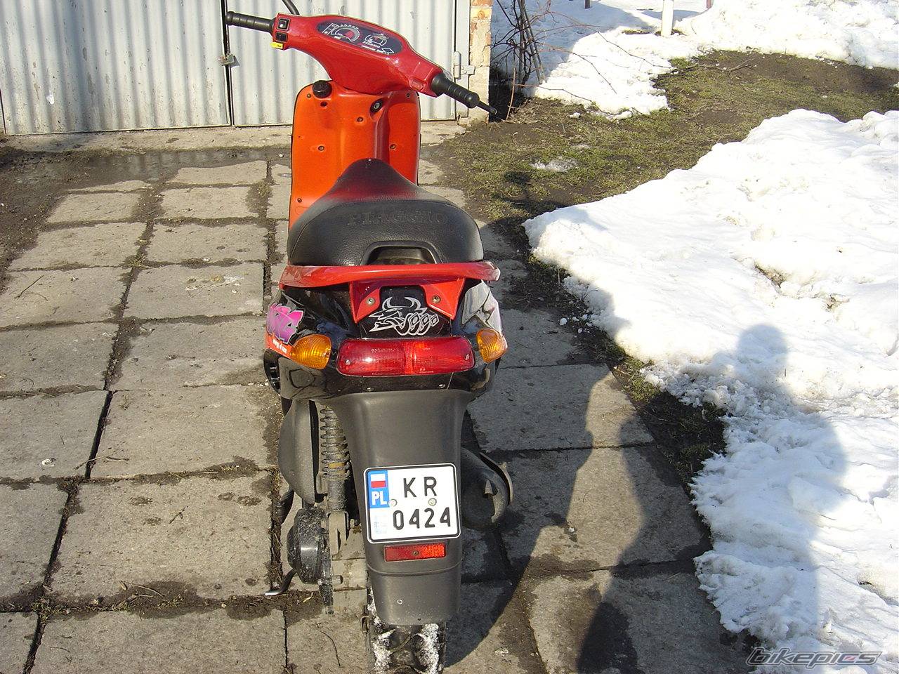 Photo 356722