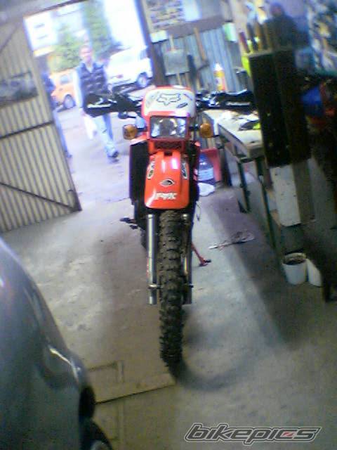 Photo 356728