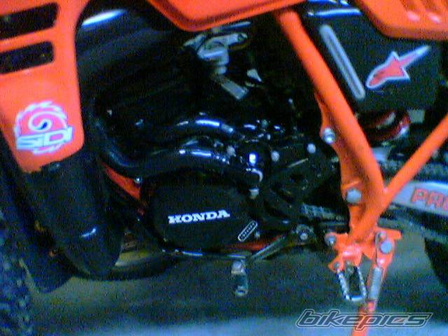 Photo 356737