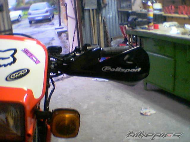 Photo 356752