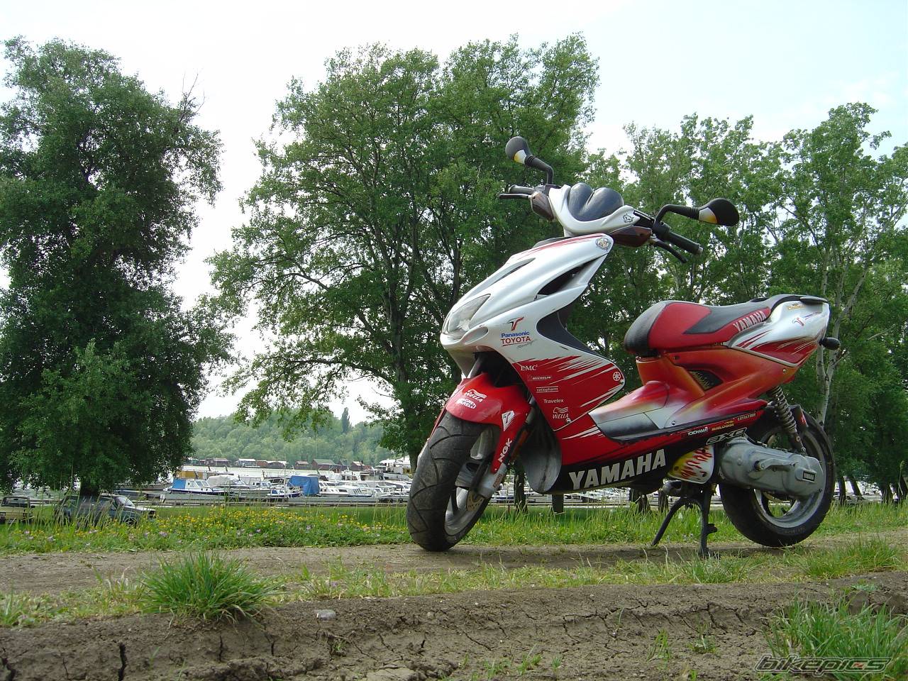 Photo 356774