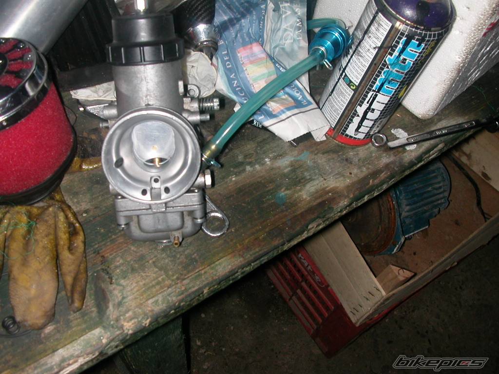 Photo 356782