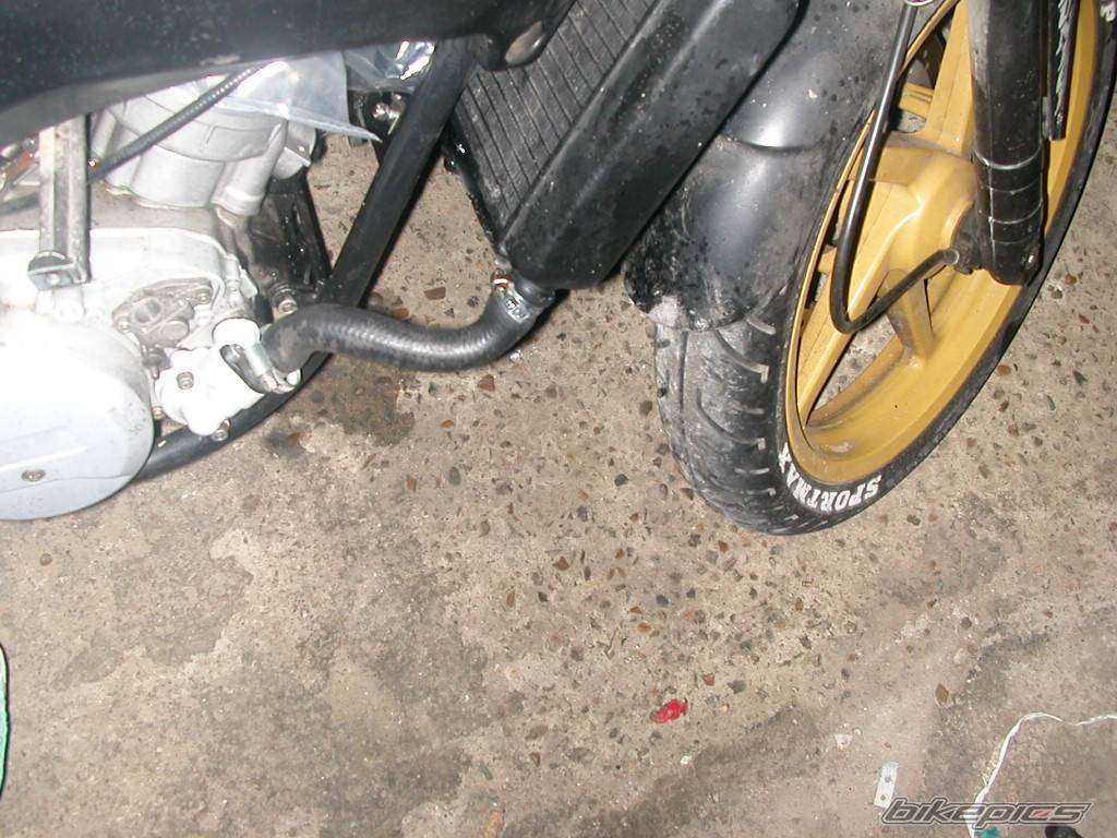 Bike Photo 356791