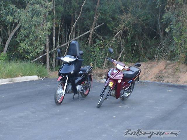Photo 356848