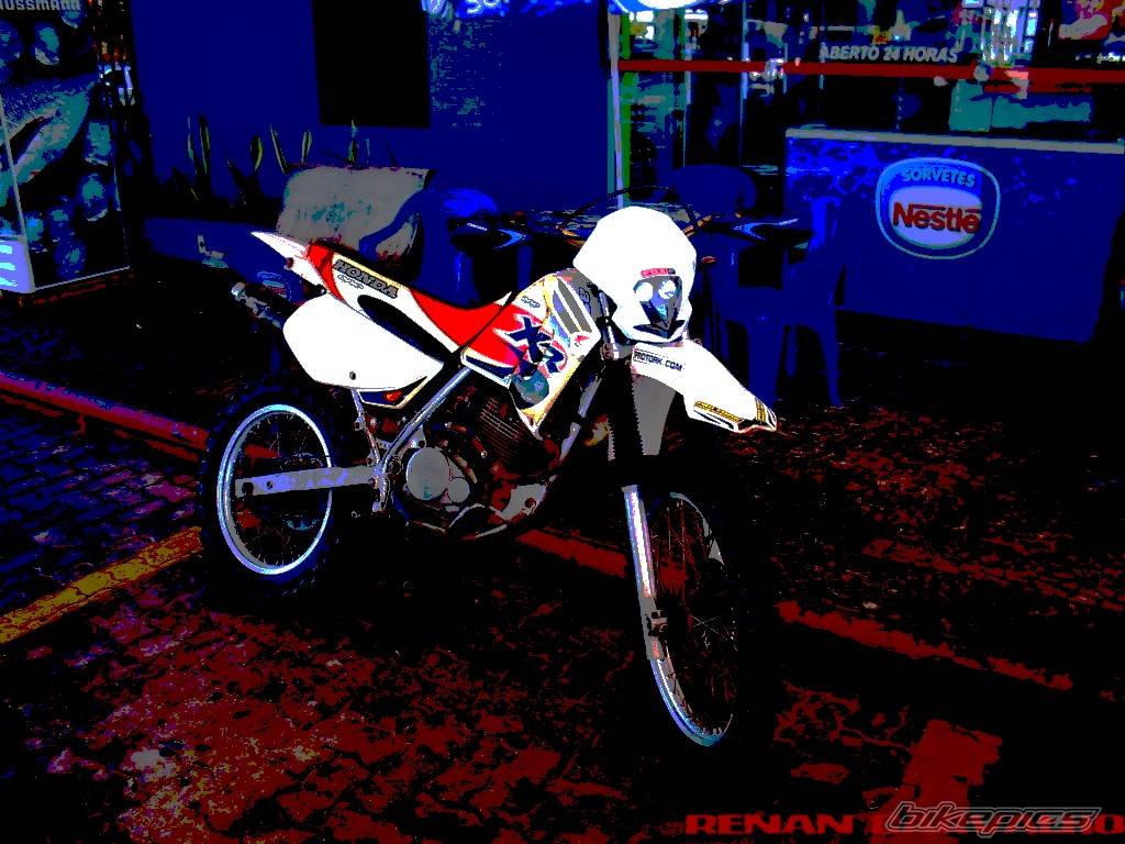 Bike Photo 356875
