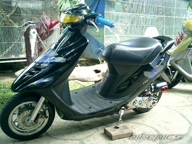 Photo 356897