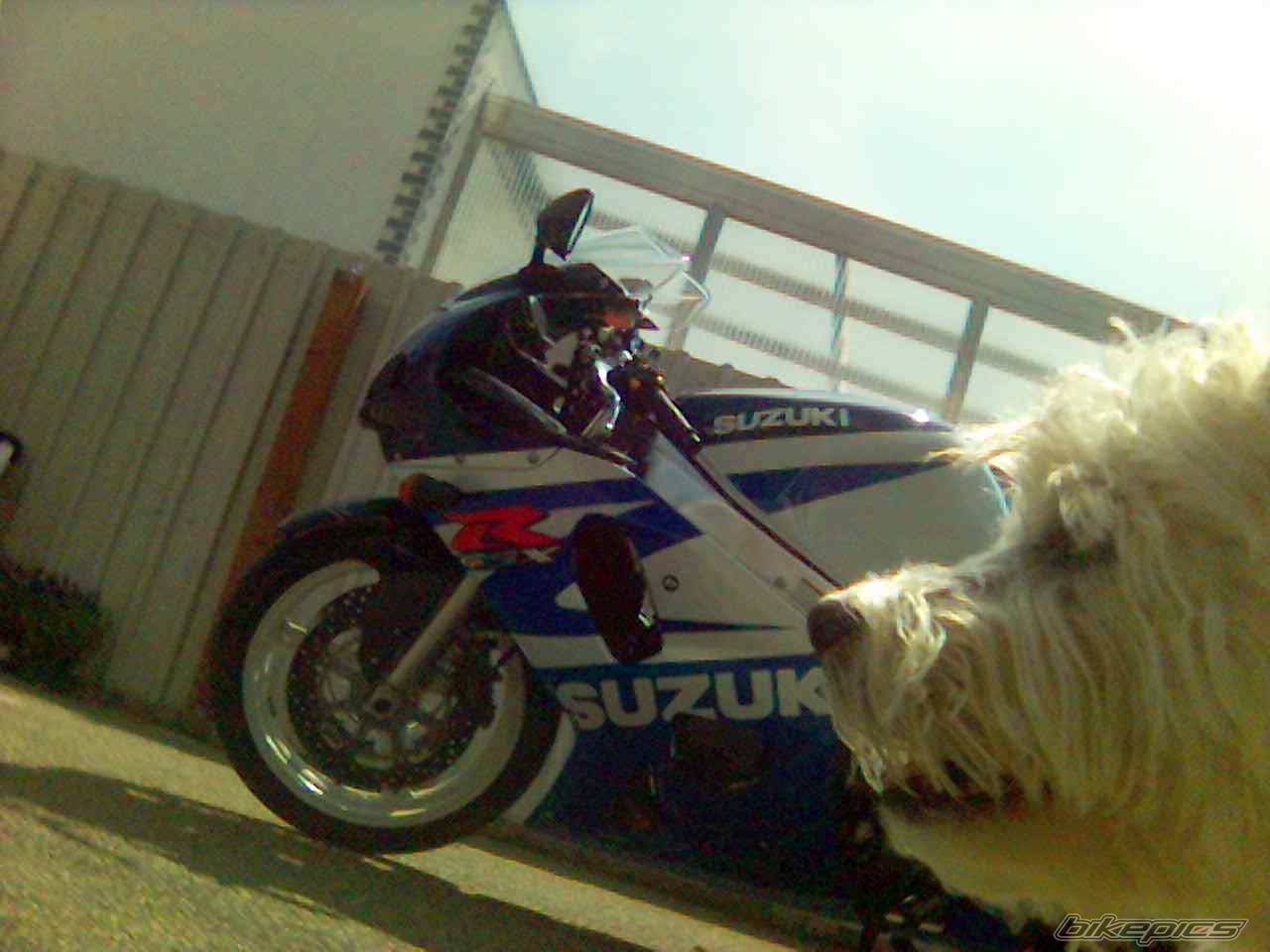 Photo 357049