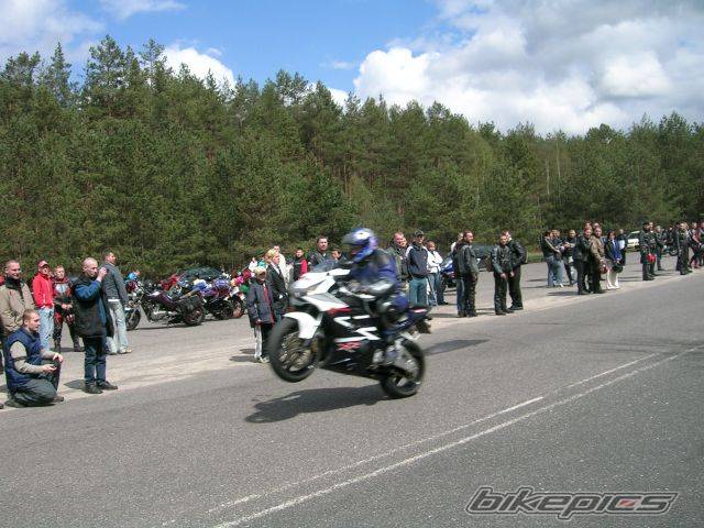 Photo 357229