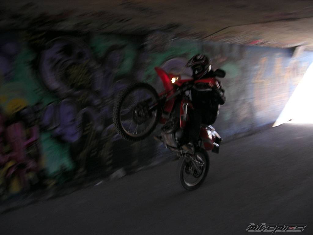 Photo 357327