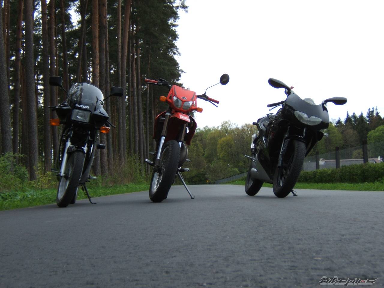 Photo 357412