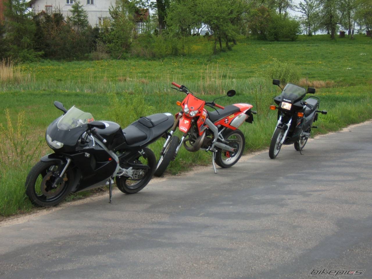 Photo 357416