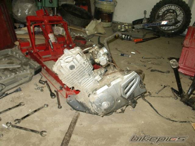 Photo 357572