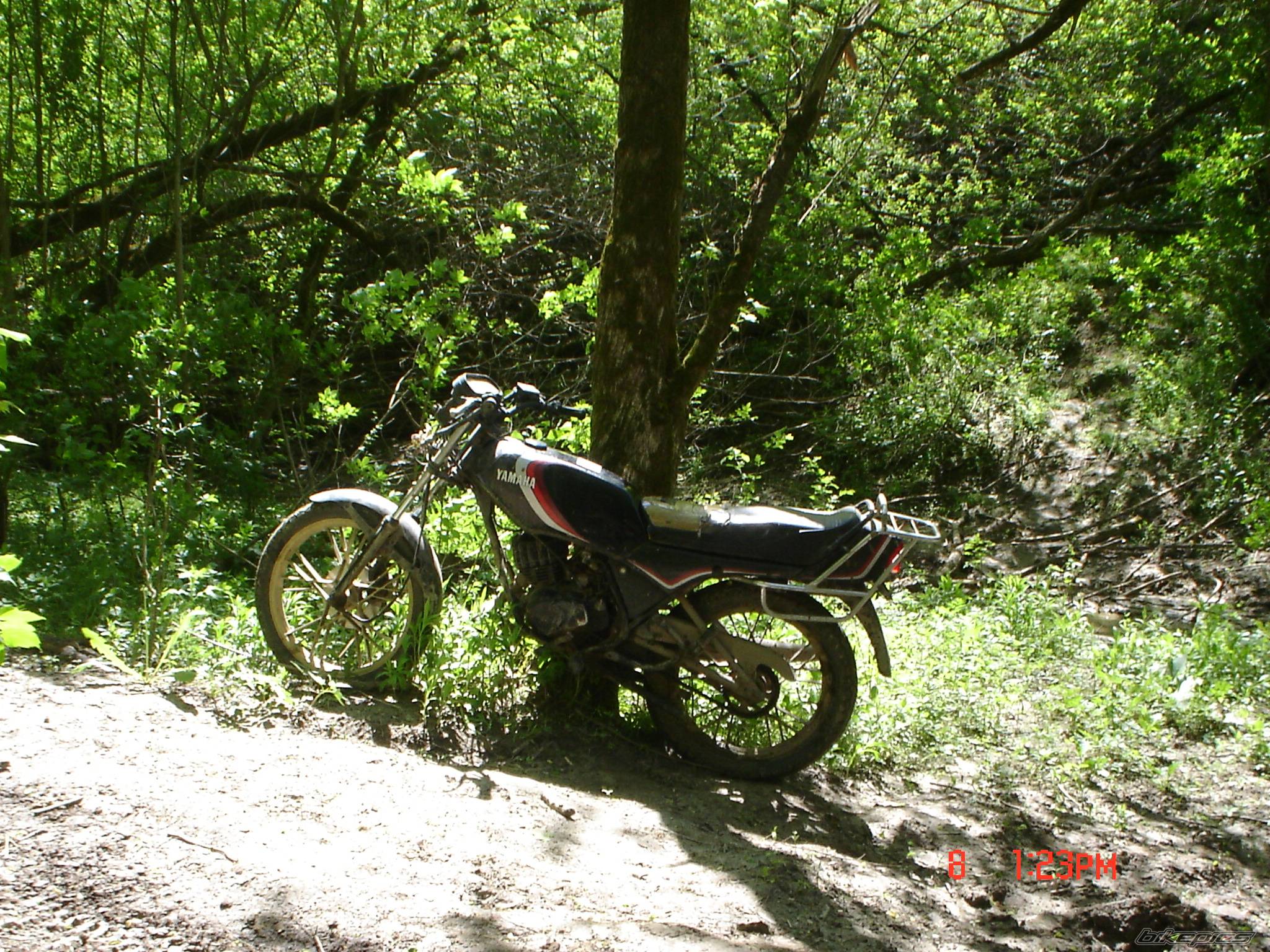Bike Photo 357673