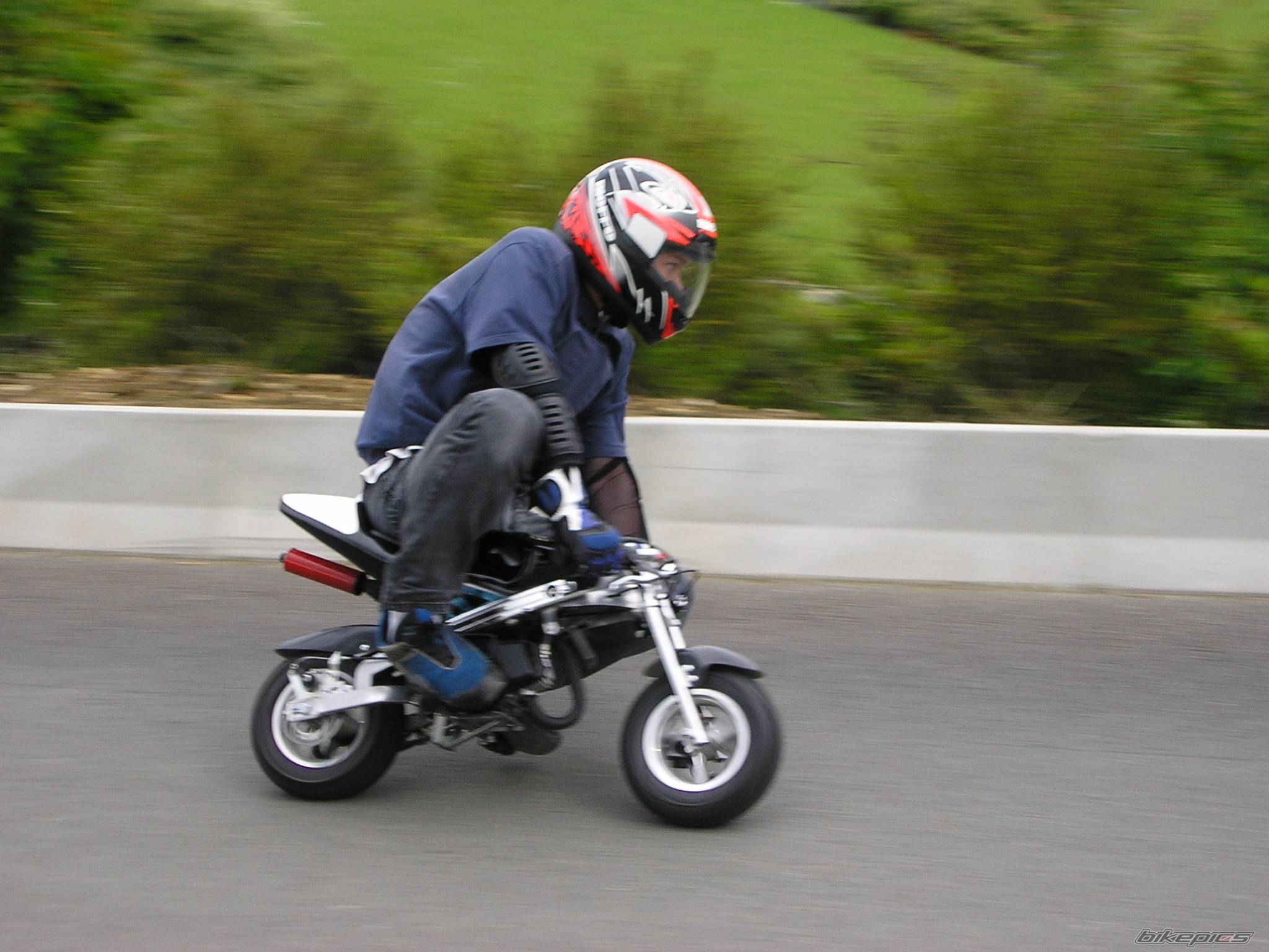 Photo 357679
