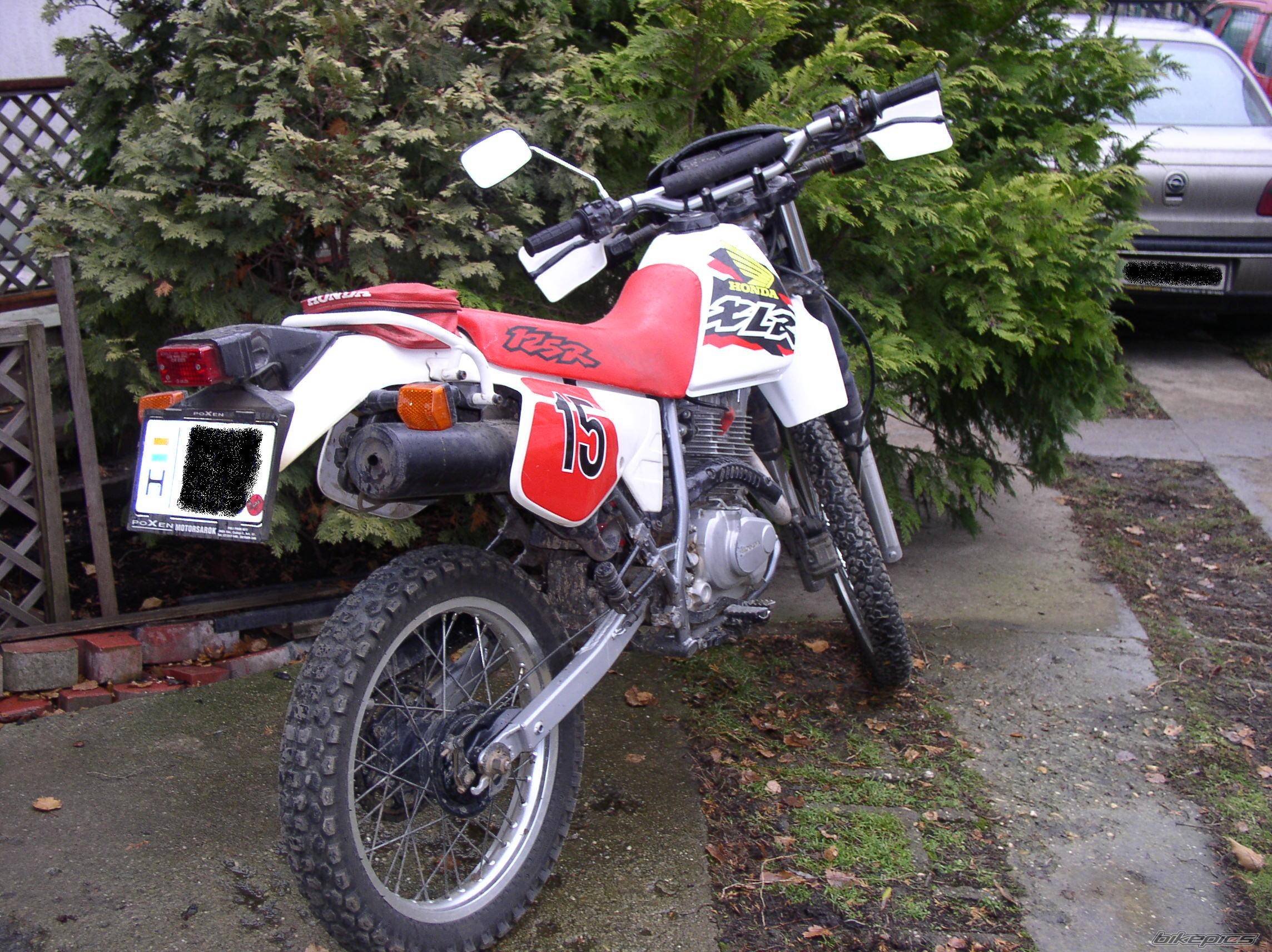 Photo 357688