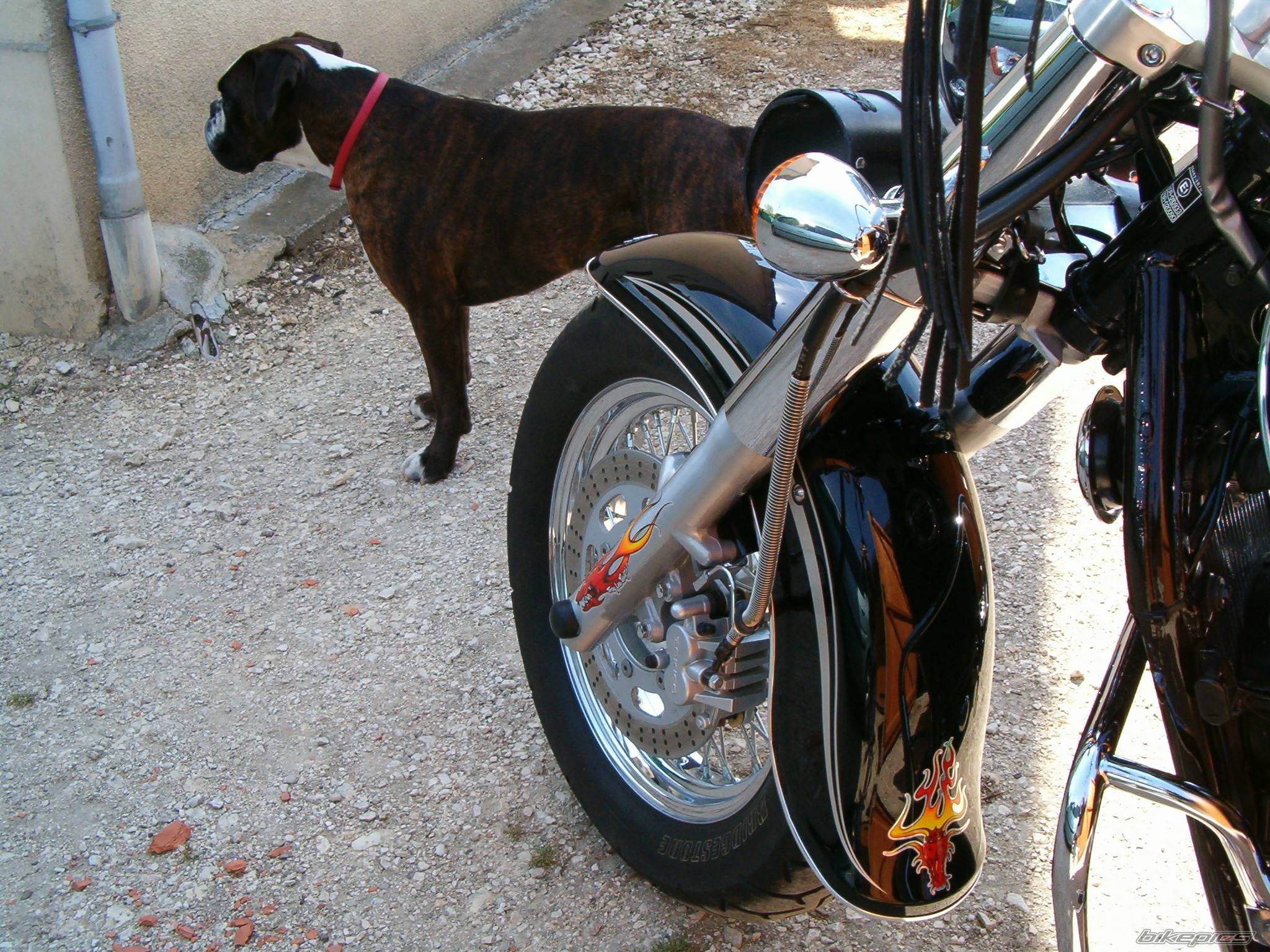 Bike Photo 357710