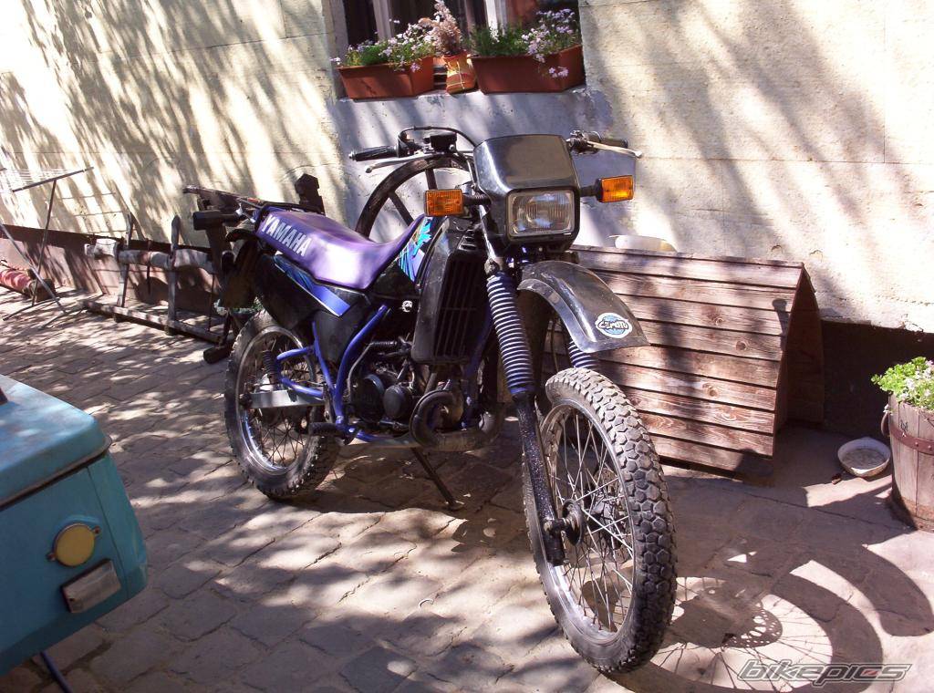 Photo 357854