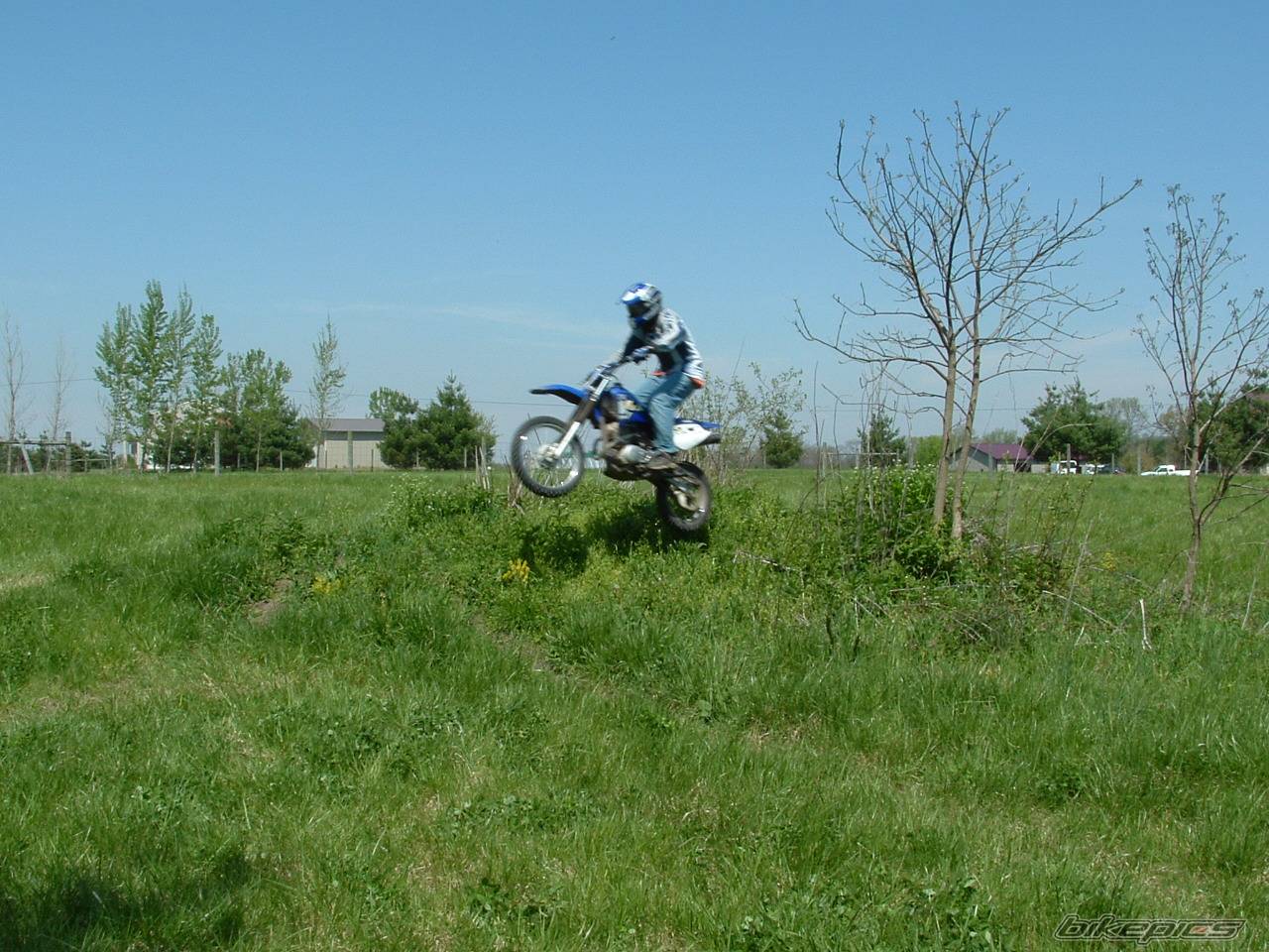 Photo 357871