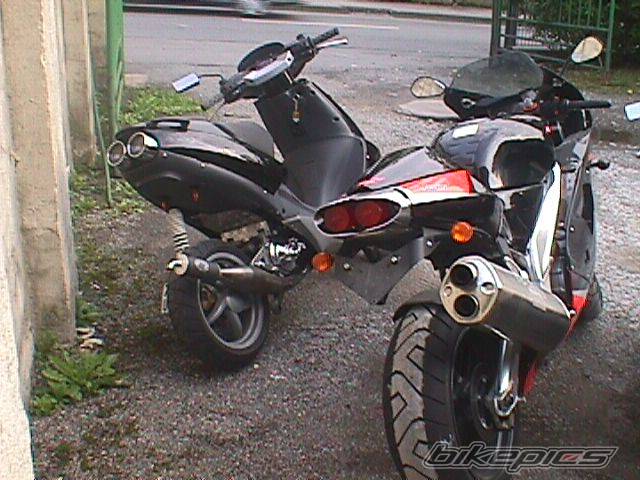 Photo 35797