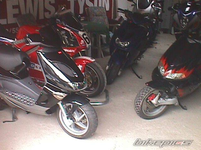 Photo 35799
