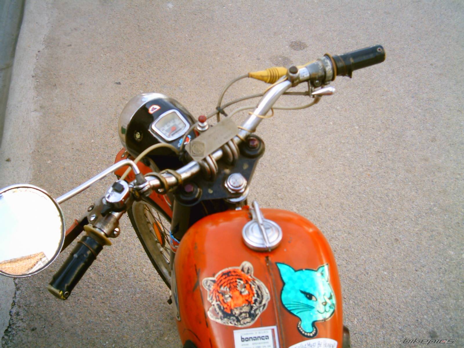 Photo 357994