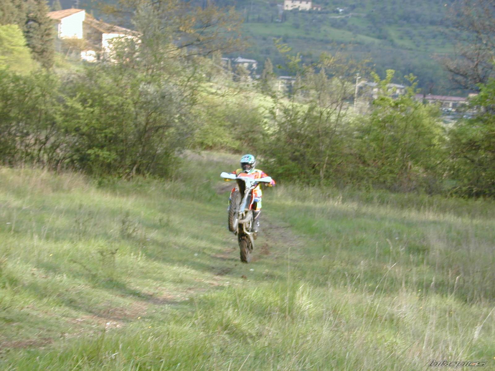 Photo 357999