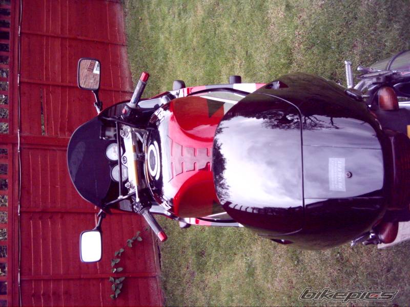 Photo 358275