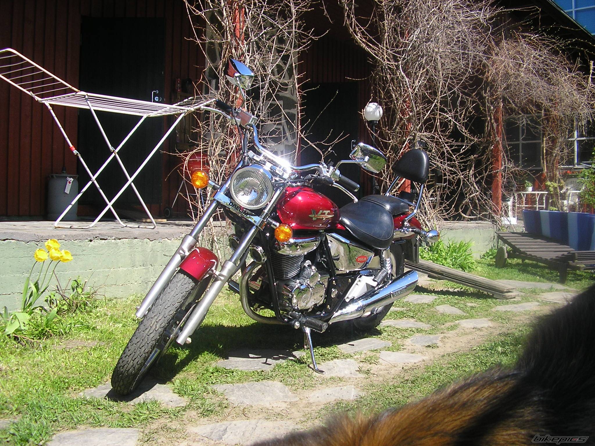 Photo 358278