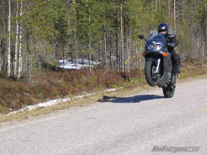 Bike Photo 358282