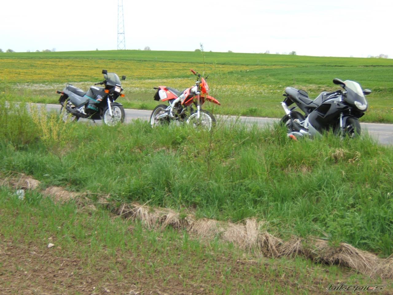 Photo 358326