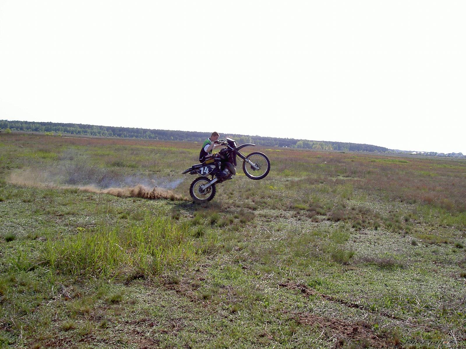 Photo 358424