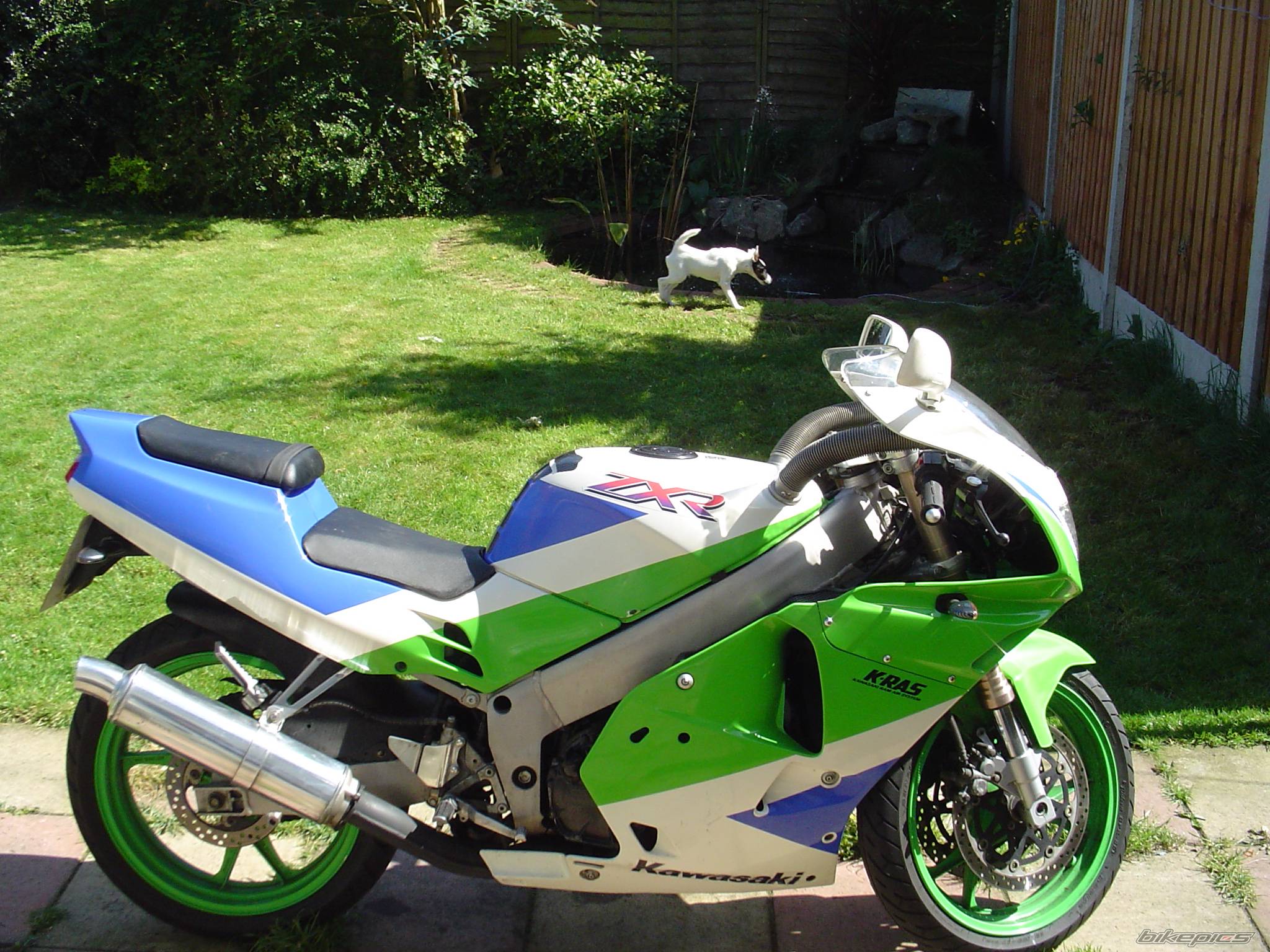 Bike Photo 358440