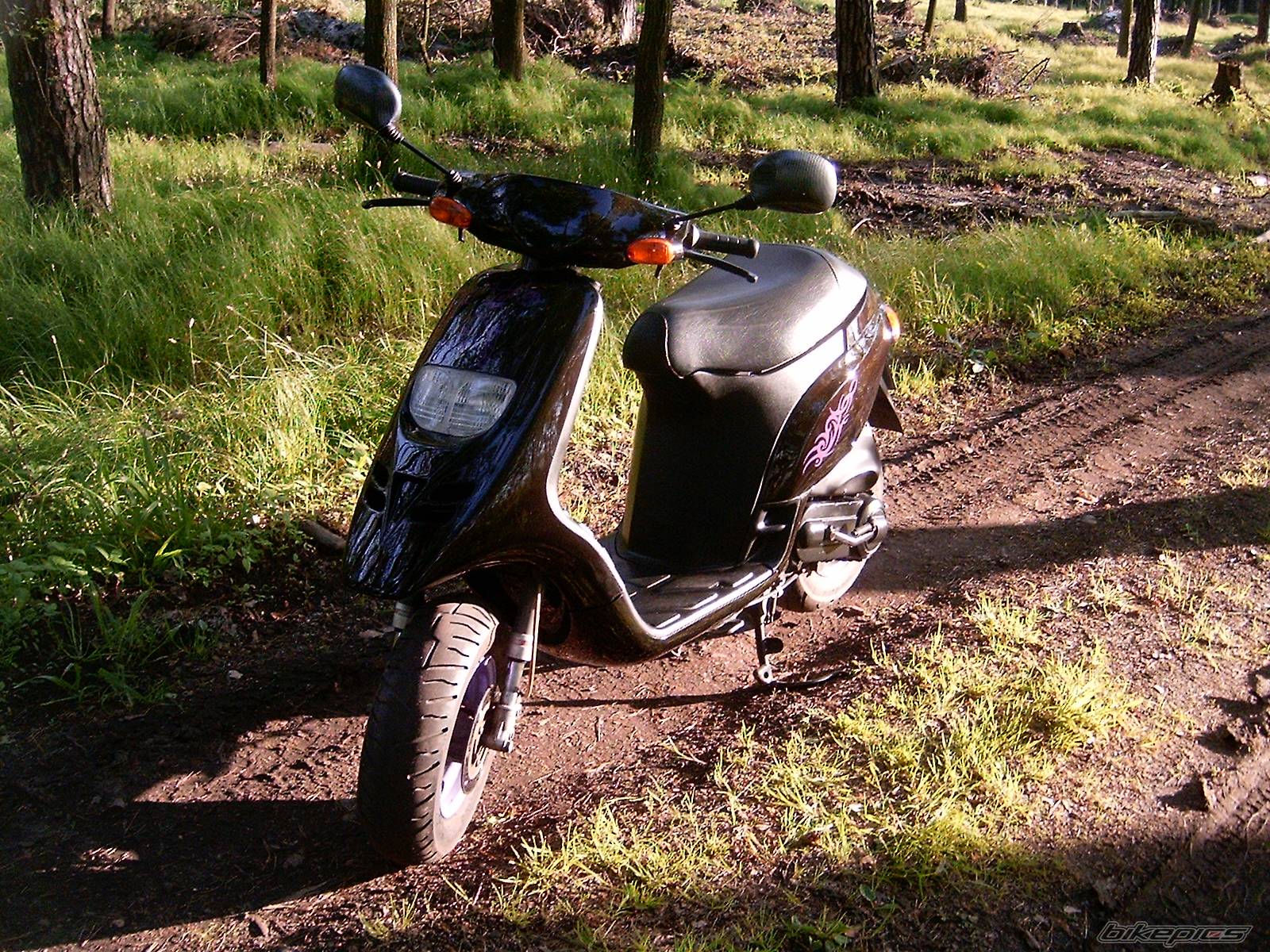 Photo 358493
