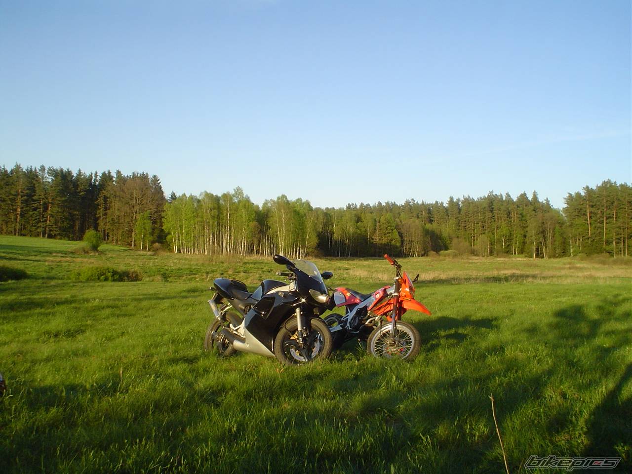 Photo 358538