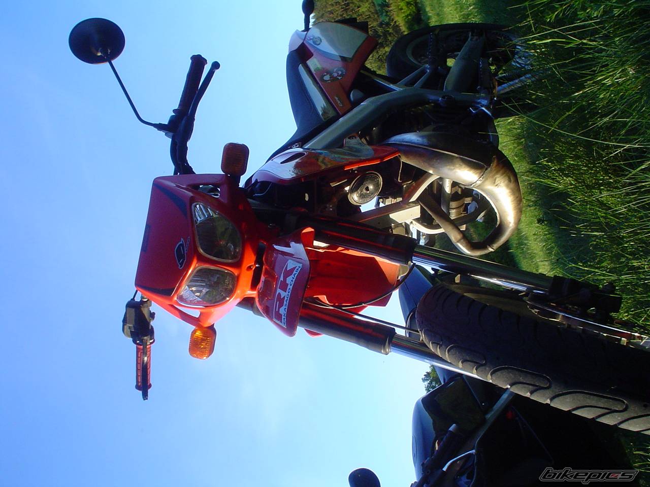 Photo 358539