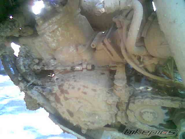 Bike Photo 358545