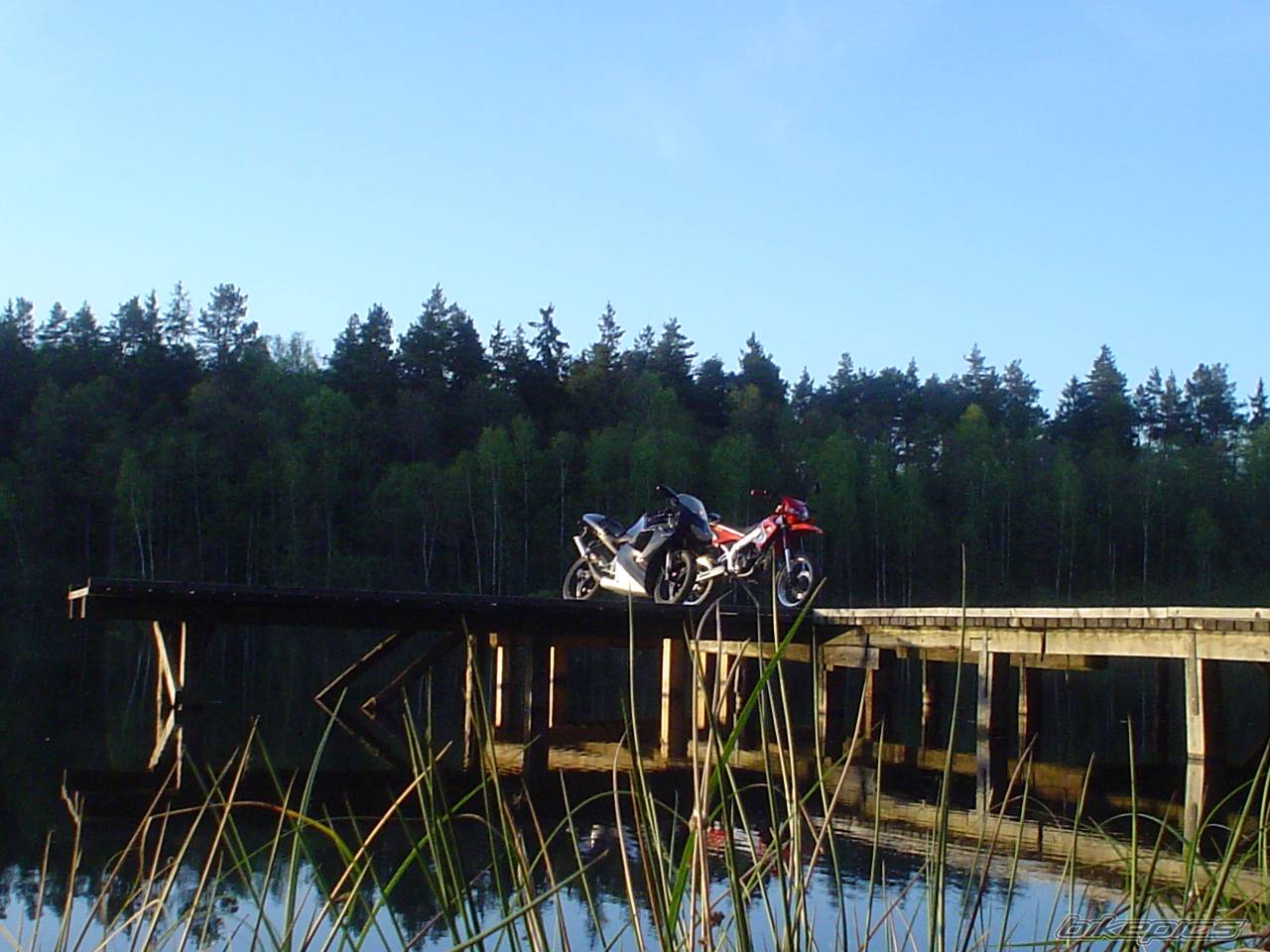 Photo 358547
