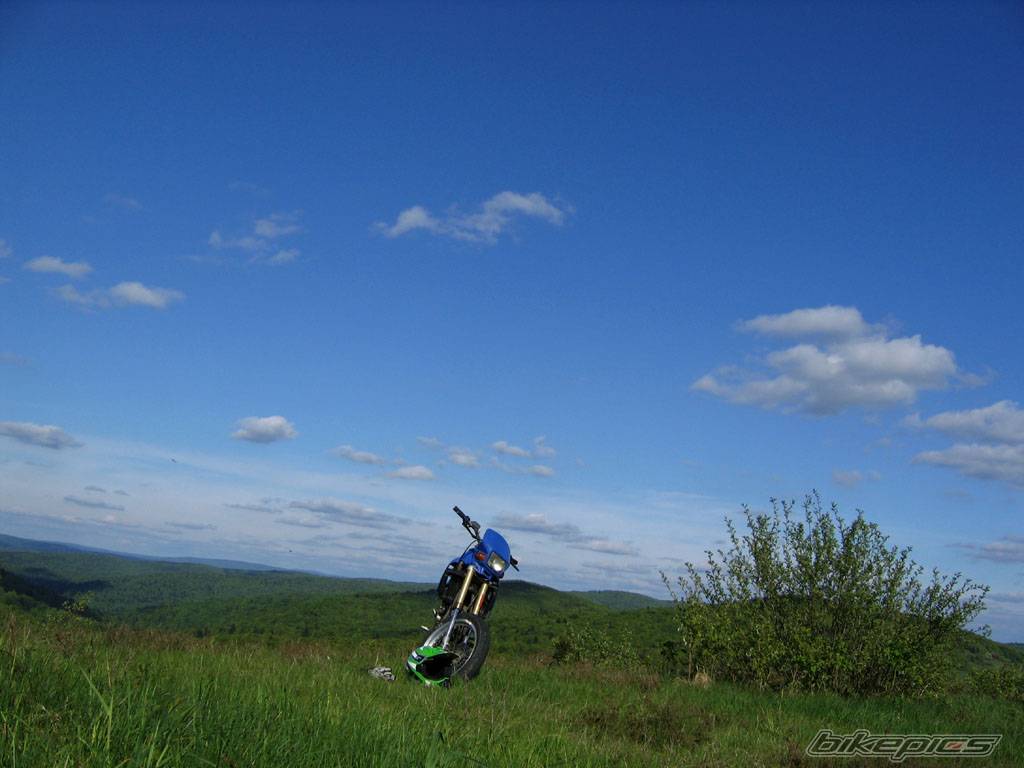 Bike Photo 358582
