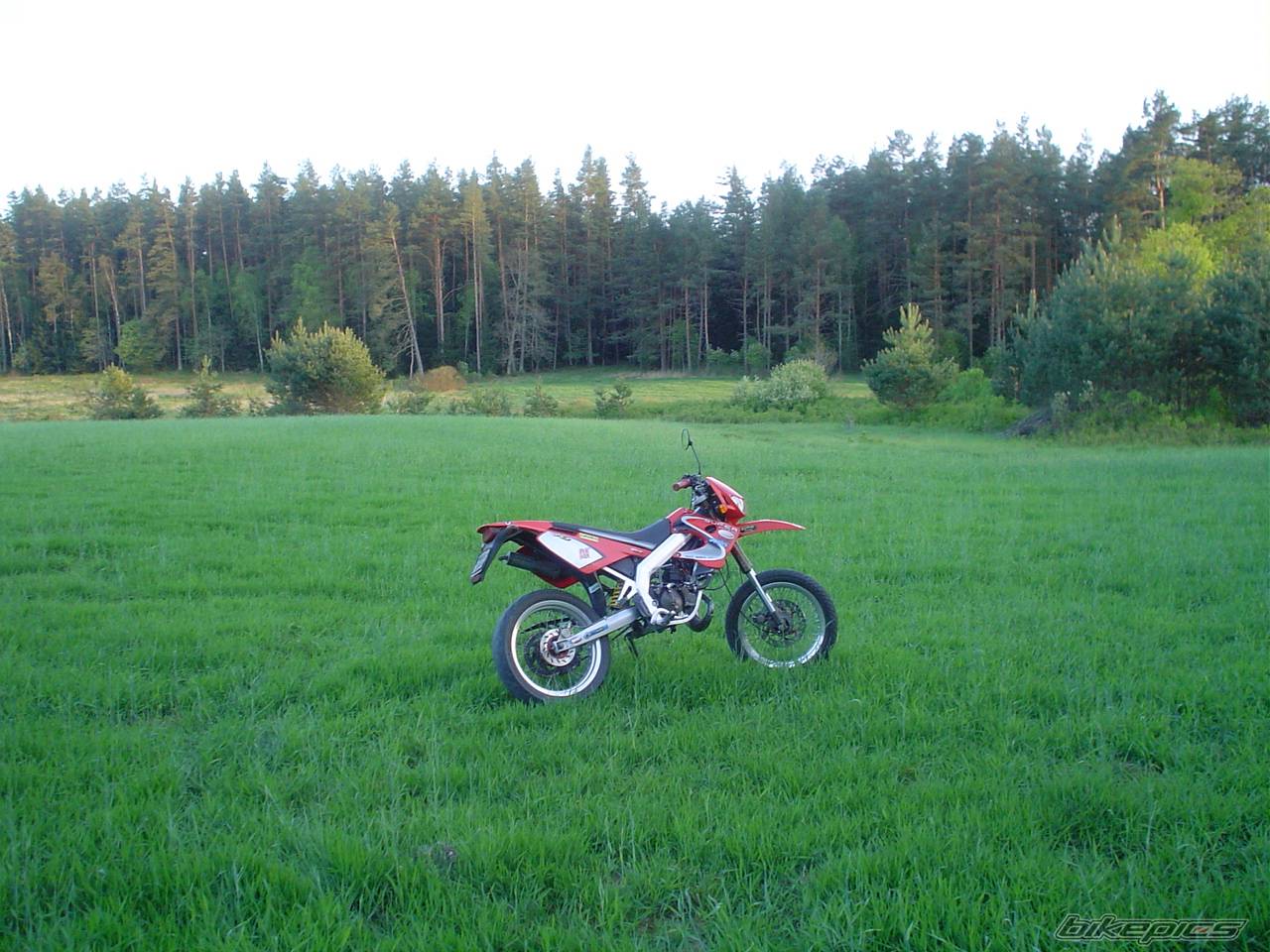 Photo 358694