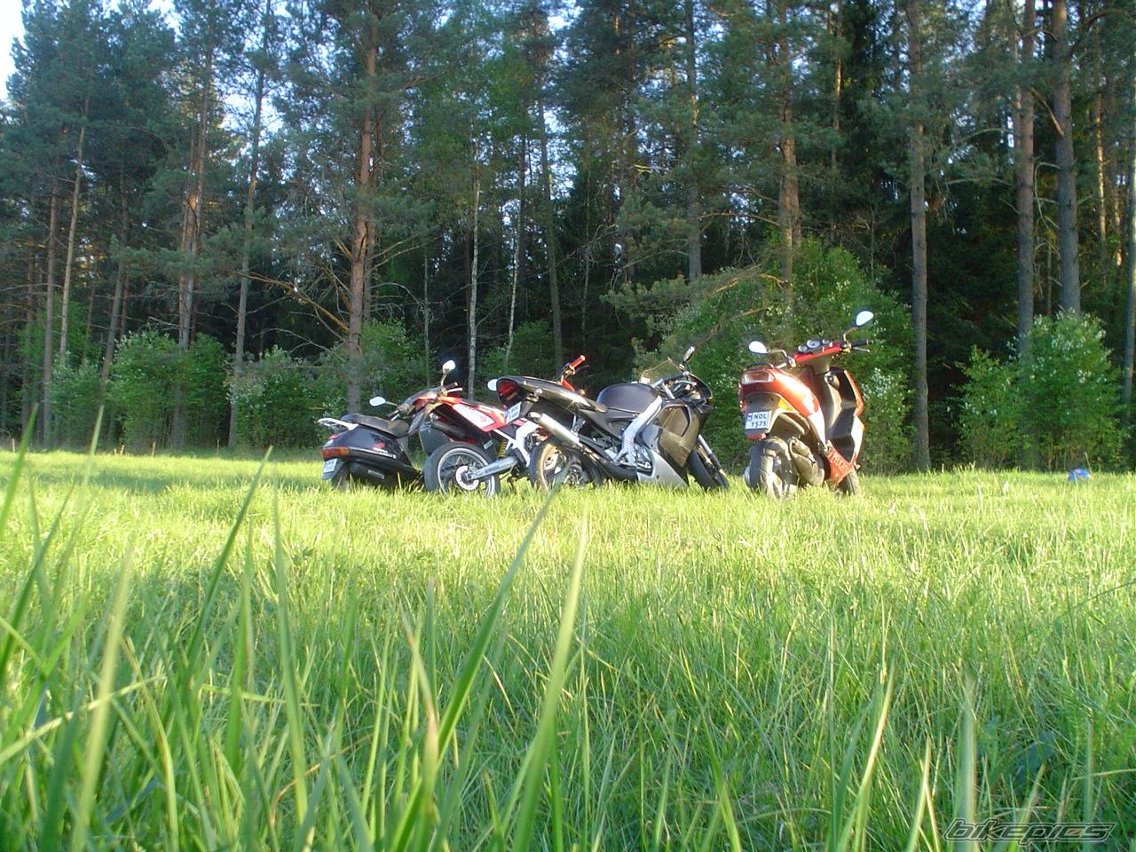 Bike Photo 358716