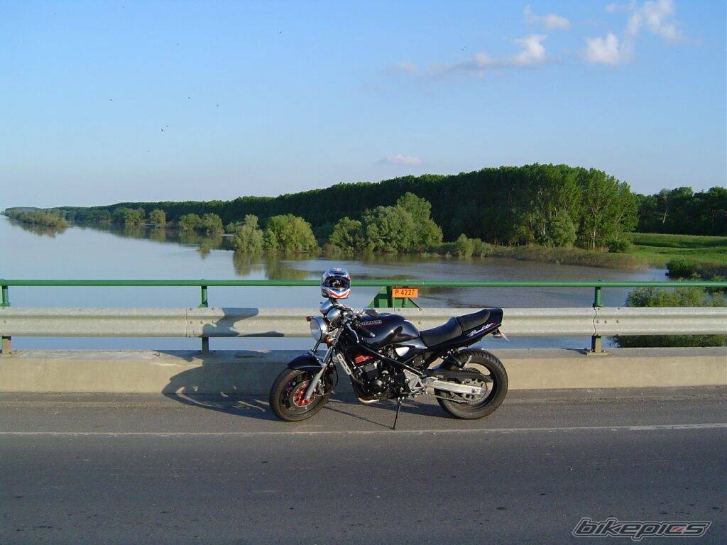 Photo 358755
